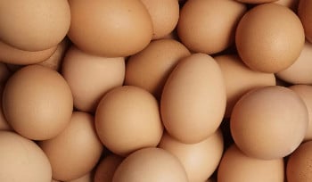 Яйца под запретом: Казахстан на полгода отказывает в ввозе всем, в том числе странам ЕАЭС