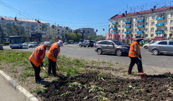 С середины мая в Усть-Каменогорске начнут высаживать цветы